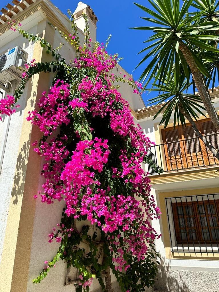 Casa Veratense Vera Playa Playas de Vera Exteriör bild